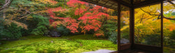 Image of Relaxation