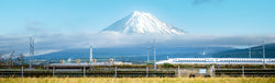 Image of Sightseeing