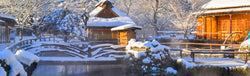 Image of Snow