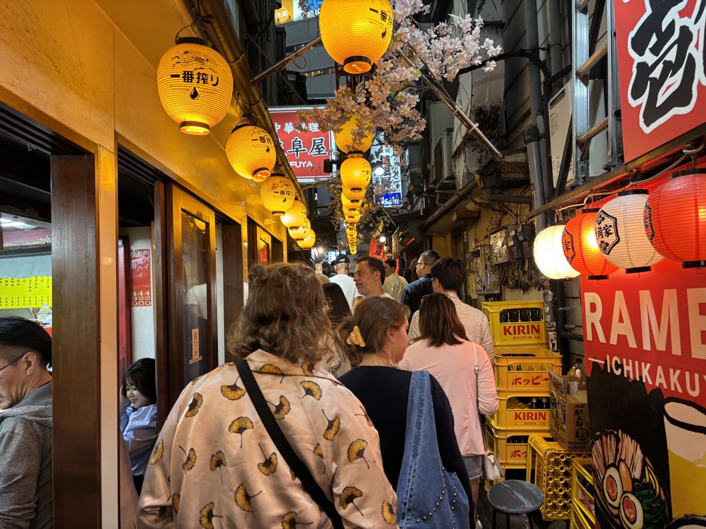 Tokyo Shinjuku Bar Hopping Walking Tour　