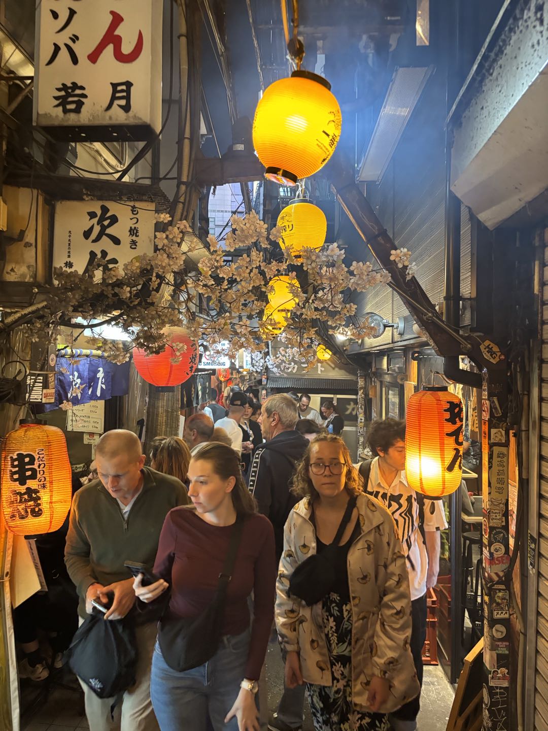 Tokyo Shinjuku Bar Hopping Walking Tour　
