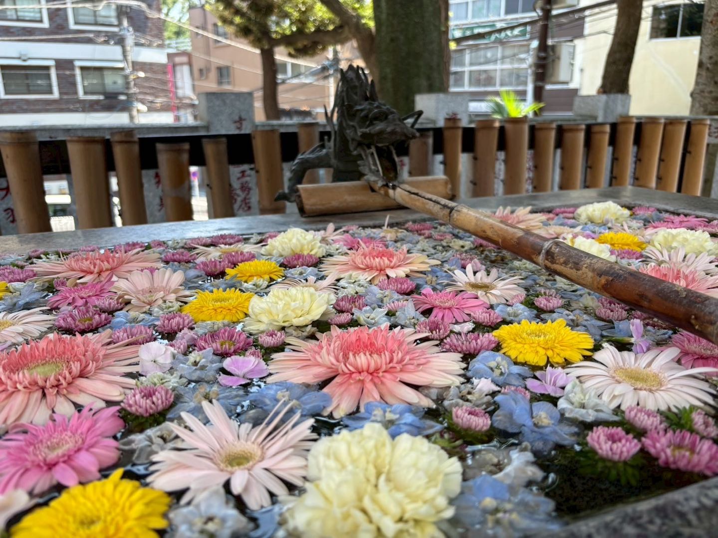 Image of Untapped  Koenji Walking Tour (3–4 Hours) – Discover the Hidden Side of the City