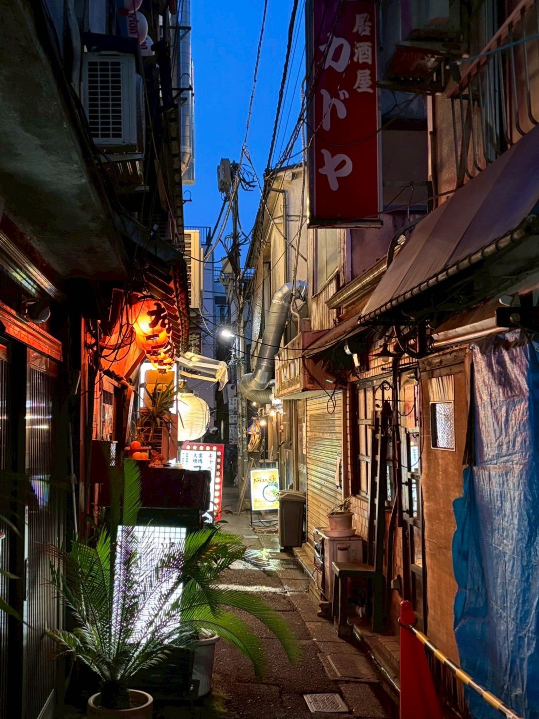 Untapped  Evening Koenji Walking Tour (3–4 Hours) – Discover the Hidden Side of the City