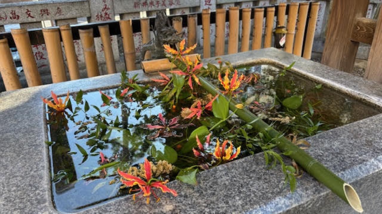 Untapped  Koenji Walking Tour (3–4 Hours) – Discover the Hidden Side of the City