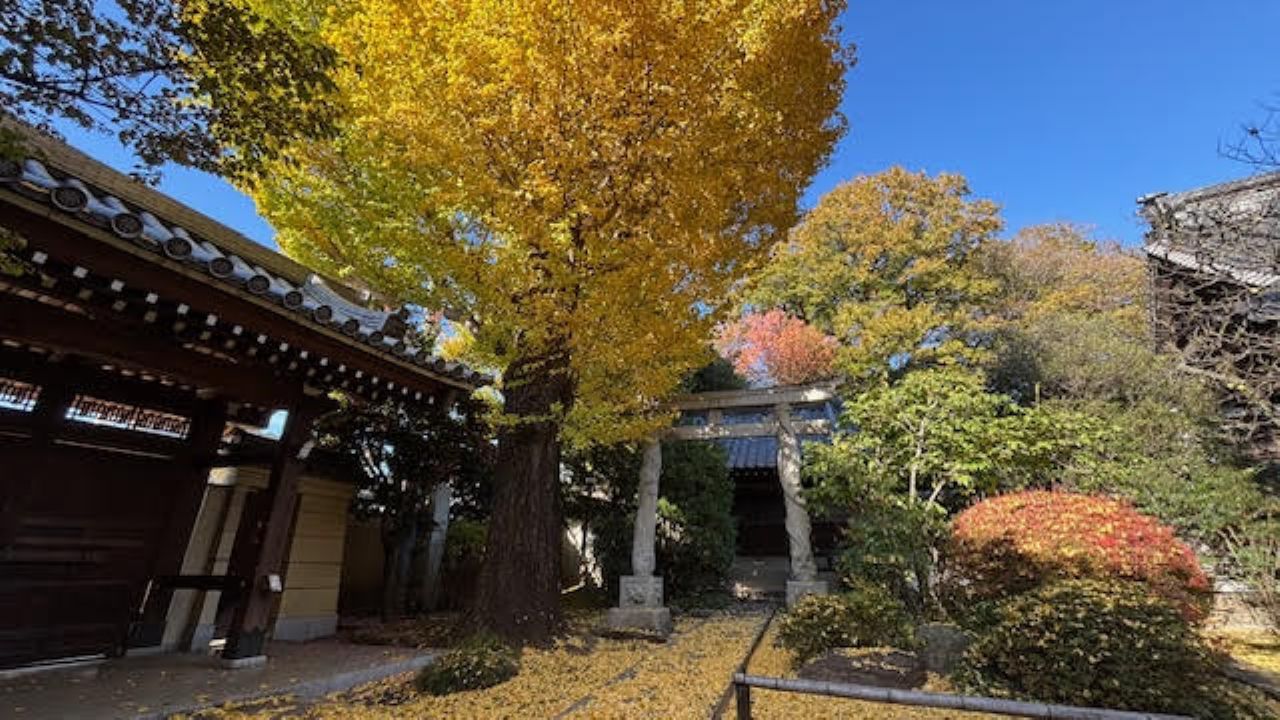 Untapped  Koenji Walking Tour (3–4 Hours) – Discover the Hidden Side of the City