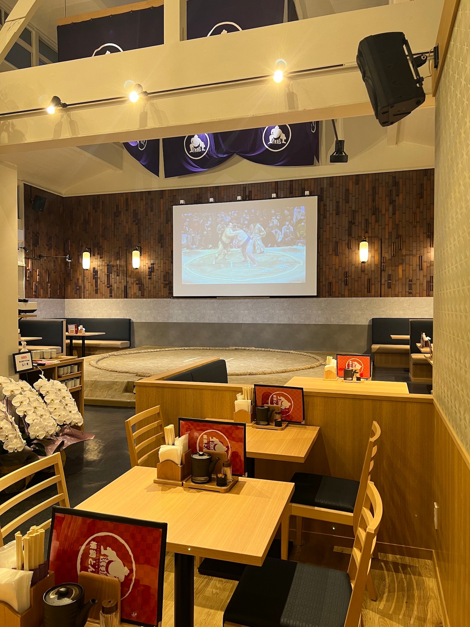 Sumo Experience & Tonkatsu  Lunch Course  in Tokyo
