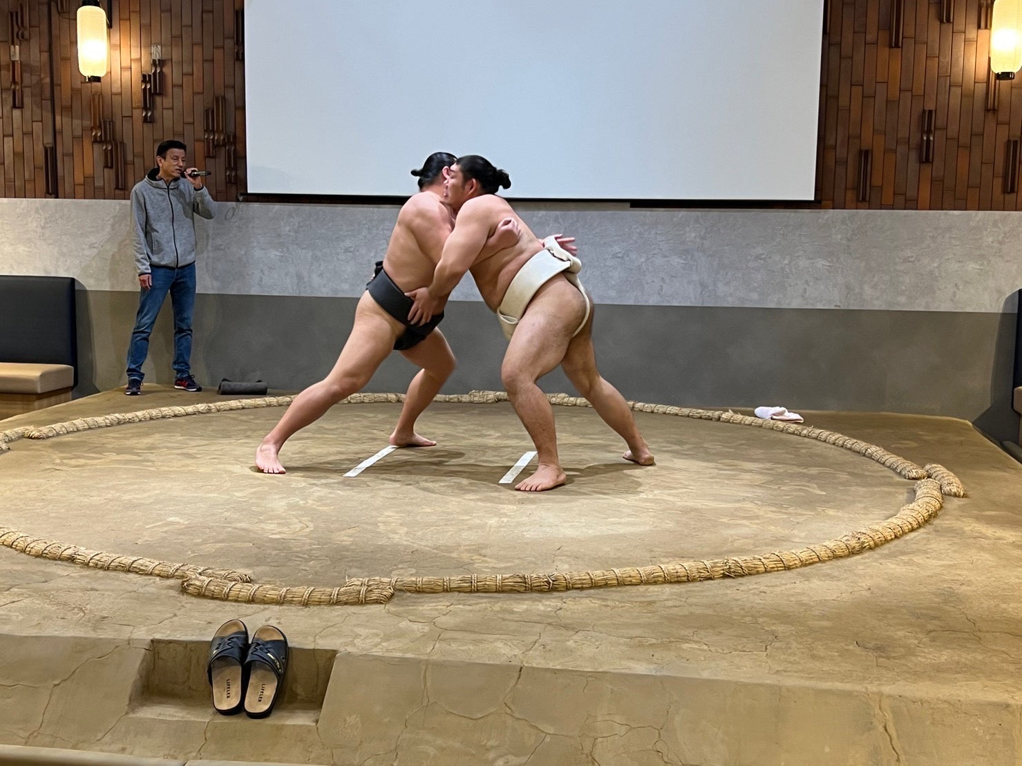 Sumo Experience & Tonkatsu  Lunch Course  in Tokyo
